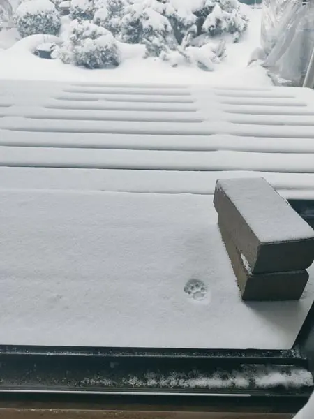 雪のベランダに残された一歩だけの足跡（KOJIさん提供）