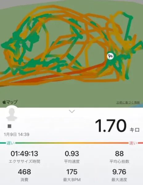 子供と公園に行った時に自分の移動経路を記録すると頑張った感が出るライフハック