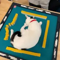 絶対に今ここじゃない