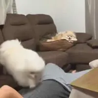 重たくないのかな？と心配になります