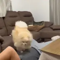 パパさんはどこかうれしそう？