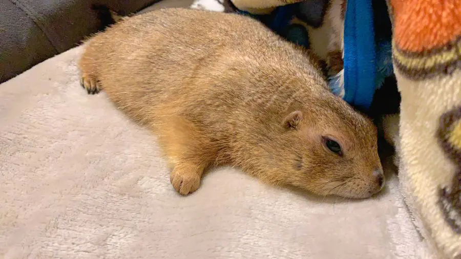 そのままウトウトとしていたようです