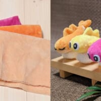 カワイイスシー！ポケモン「シャリタツ」3種のすがたを手縫いで完全再現