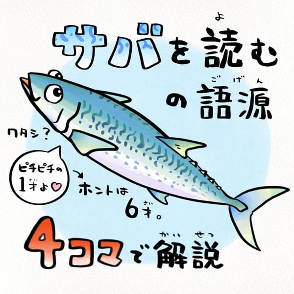 「サバを読む」の語源を4コマイラストで解説（さかなのおにいさん　かわちゃんさん提供）