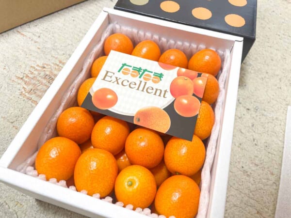 宮崎県産きんかんの最高峰「たまたまExcellent」