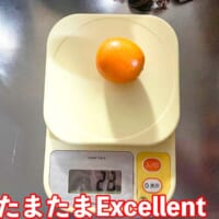 「たまたまExcellent」の重さは28グラム