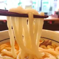 うどんの麺はつるっとした喉ごしで柔らかく、スープとの相性も抜群