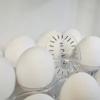卵の横に置かれている「こつぜん」
