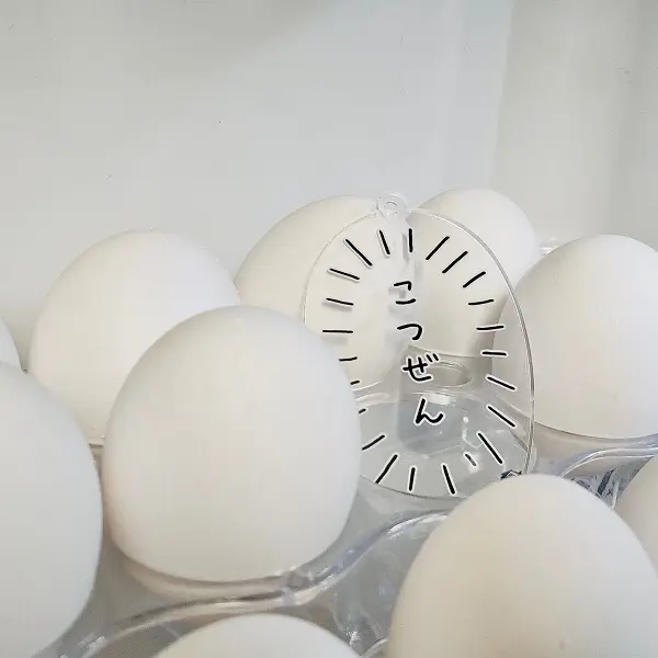 卵の横に置かれている「こつぜん」
