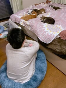 猫用ベッドを設置したら……なぜか飼い主が使うことに　背中から哀愁漂う