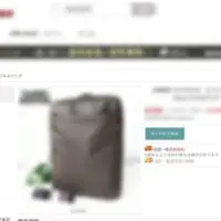 前払い詐欺の商品ページ