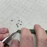 青のりは一枚一枚丁寧にカット