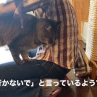 お尻をトントン優しく叩かれるのが大好き