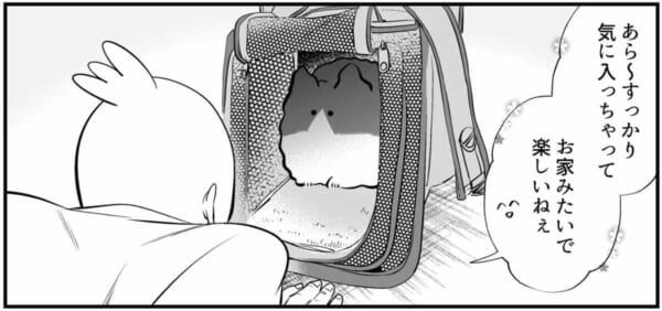 新しいキャリーを気に入ってくれたようだけど……（秀さん提供）