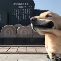ここまで口が膨らむのは非常にレアなケース
