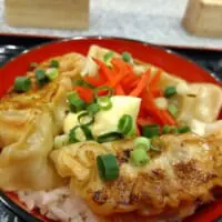 「ぎょうざ丼」
