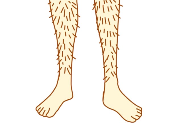 イラストはイラストACより