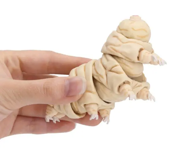 約1万％拡大して再現！クマムシのカプセルトイが発売