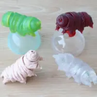 「原色図鑑シリーズ番外編 クマムシ」
