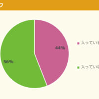 半数近くの小中学生がグループチャットを利用