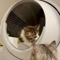 後輩のトイレトレーニングを優しくサポート
