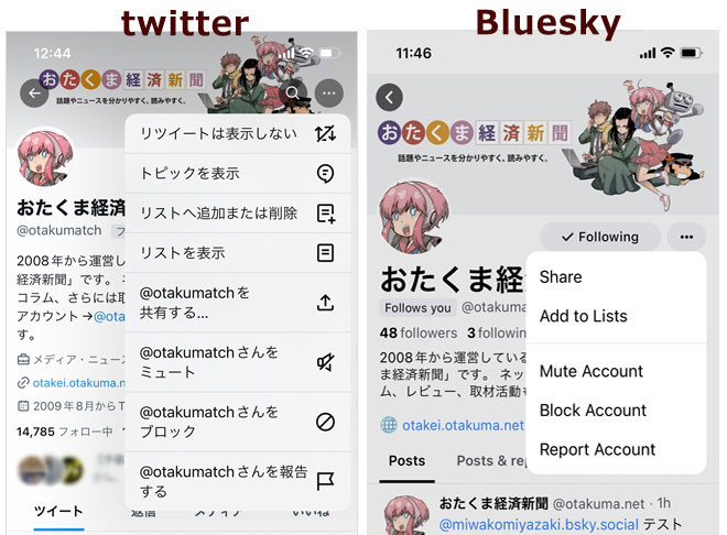 BlueSkyとTwitter　プロフィールの様子