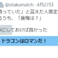 購入した人の内、約3割が「後悔した」と回答