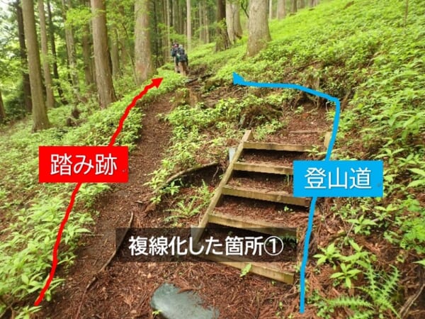 落ち枝で塞ぐ以外にも対策を実施