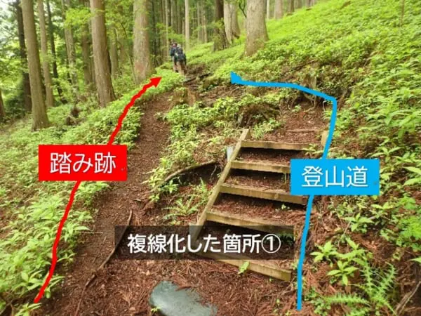 落ち枝で塞ぐ以外にも対策を実施