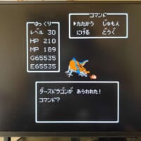 ダー「ス」ドラゴン