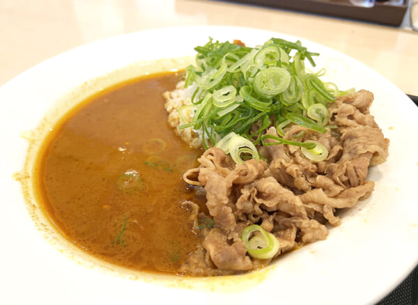 松屋ねぎたっぷりスパイスカレー
