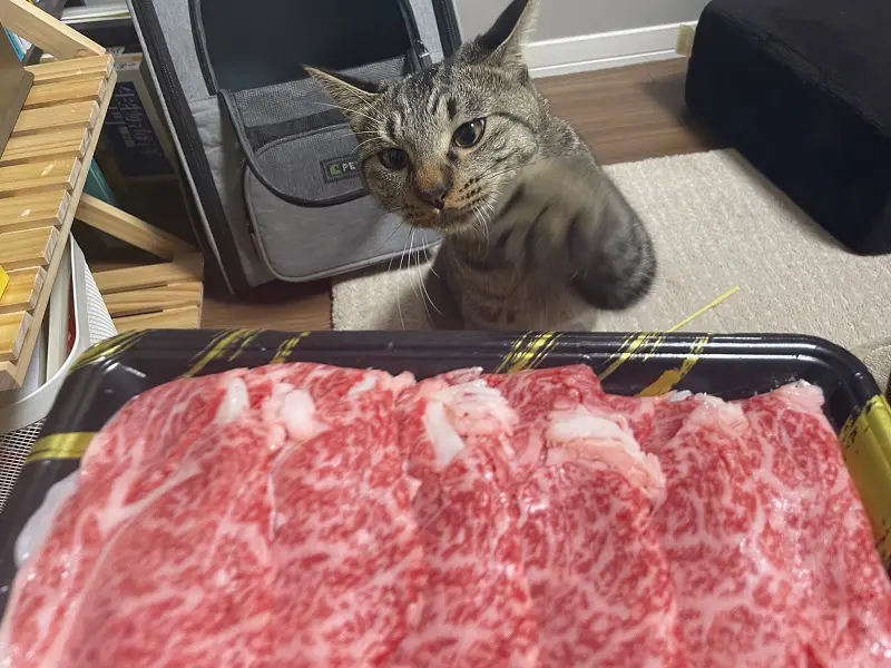 海くんの目には完全にお肉しか映っていない感じがします
