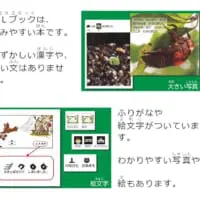 LLブックについて解説