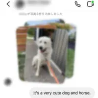かわいい犬と馬の写真