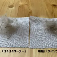 横から撮った写真　1回目