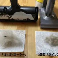 横から撮った写真　2回目