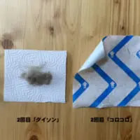 4種比較　2回目