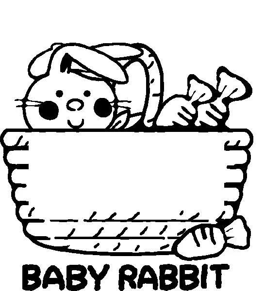 バスケットに入ったうさぎとにんじんが可愛い「うさぎ」