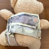 後ろから見たところ