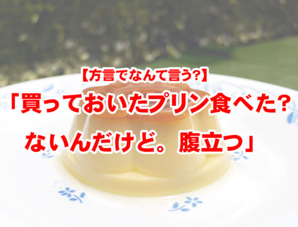 「買っておいたプリン食べた？」は方言で何て言う？全国津々浦々の回答が面白い