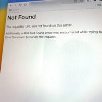 404NotFoundが出力されている様子