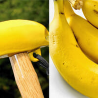 バナナの質感を再現