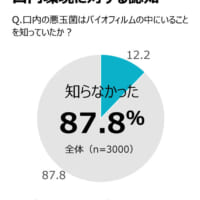 ②口内の悪玉菌は 「バイオフィルム」の中にいる