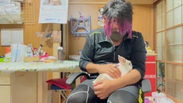 うさぎってこんなになつくの！？飼い主に甘えまくる様子が尊すぎる