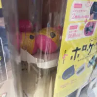 ポケベルカプセルトイの売れ域は…