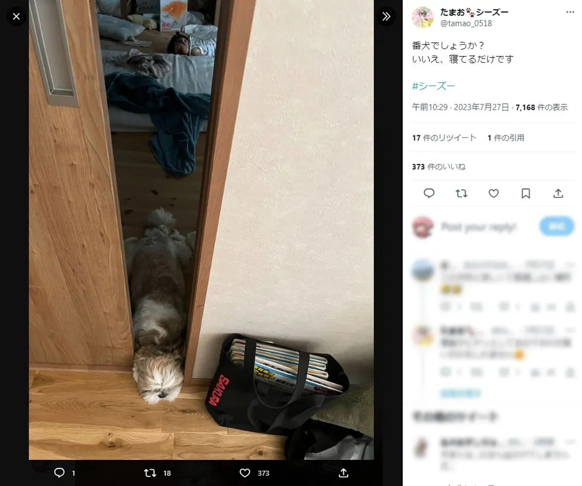 「番犬でしょうか？いいえ、寝てるだけです」