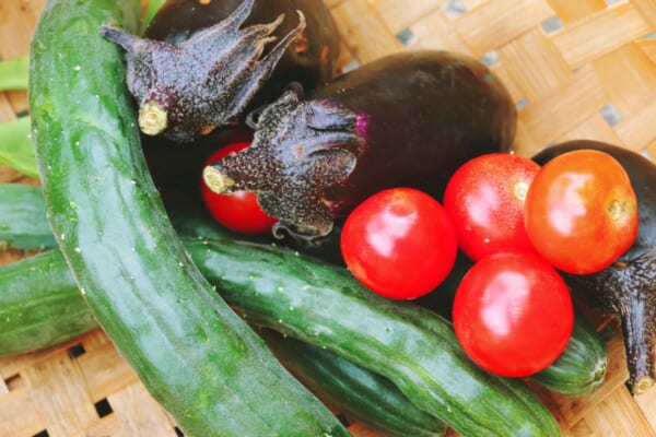 八百屋歴10年・野菜のプロが教える「鮮度の良い野菜の選び方」（画像：写真AC）