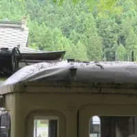 傷みは激しくなるいっぽう
