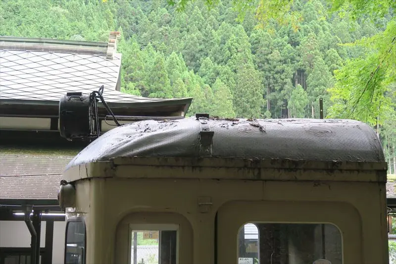 傷みは激しくなるいっぽう