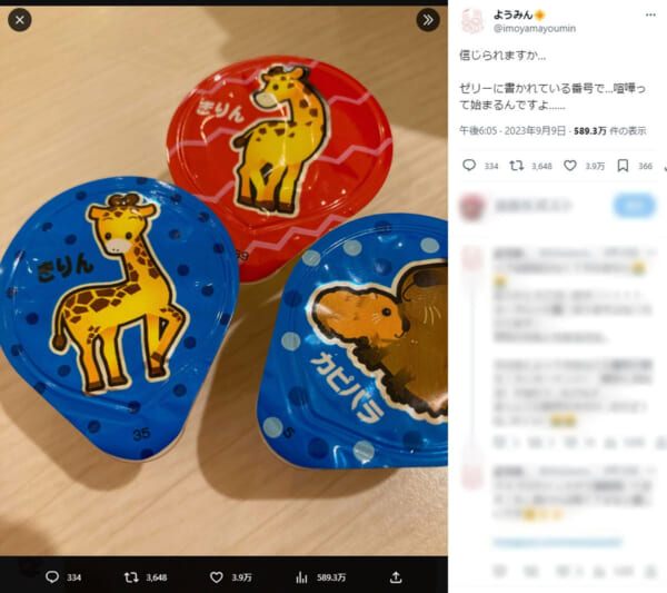 こんなことで揉め事が……きょうだい喧嘩あるあるに共感集まる